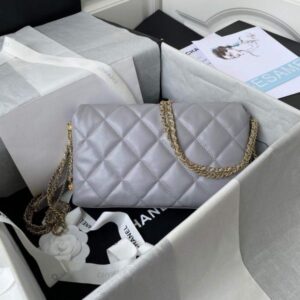 Chanel AS2563 Flap Bag Lambskin Gold Gray